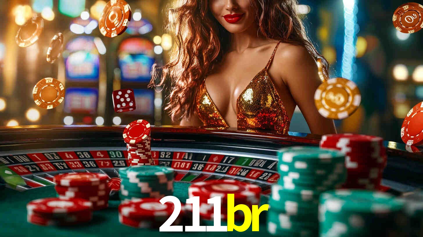 211br App Interface