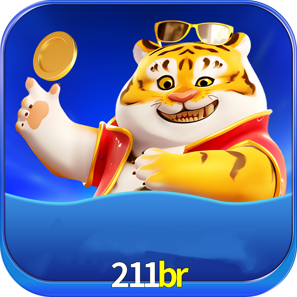 211br